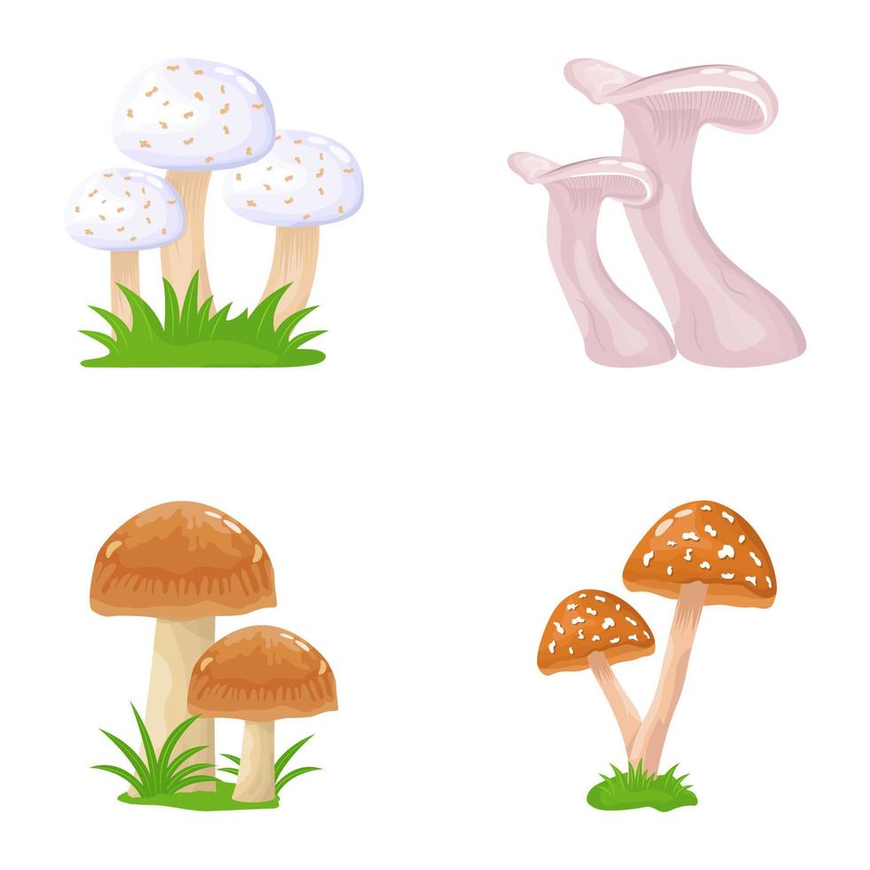 vlak illustraties van champignons vector