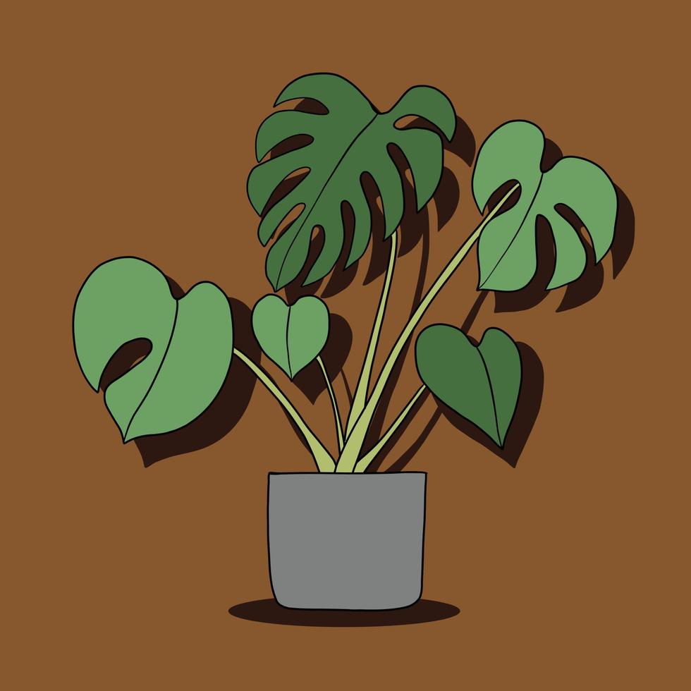 eenvoud monstera plant uit de vrije hand tekenen plat ontwerp. vector