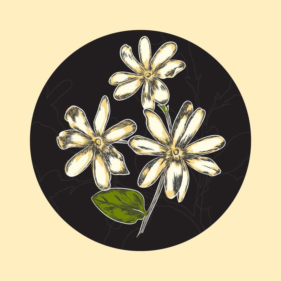 jasmijn bloem Aan zwart ronde grens. hand- getrokken vector illustratie