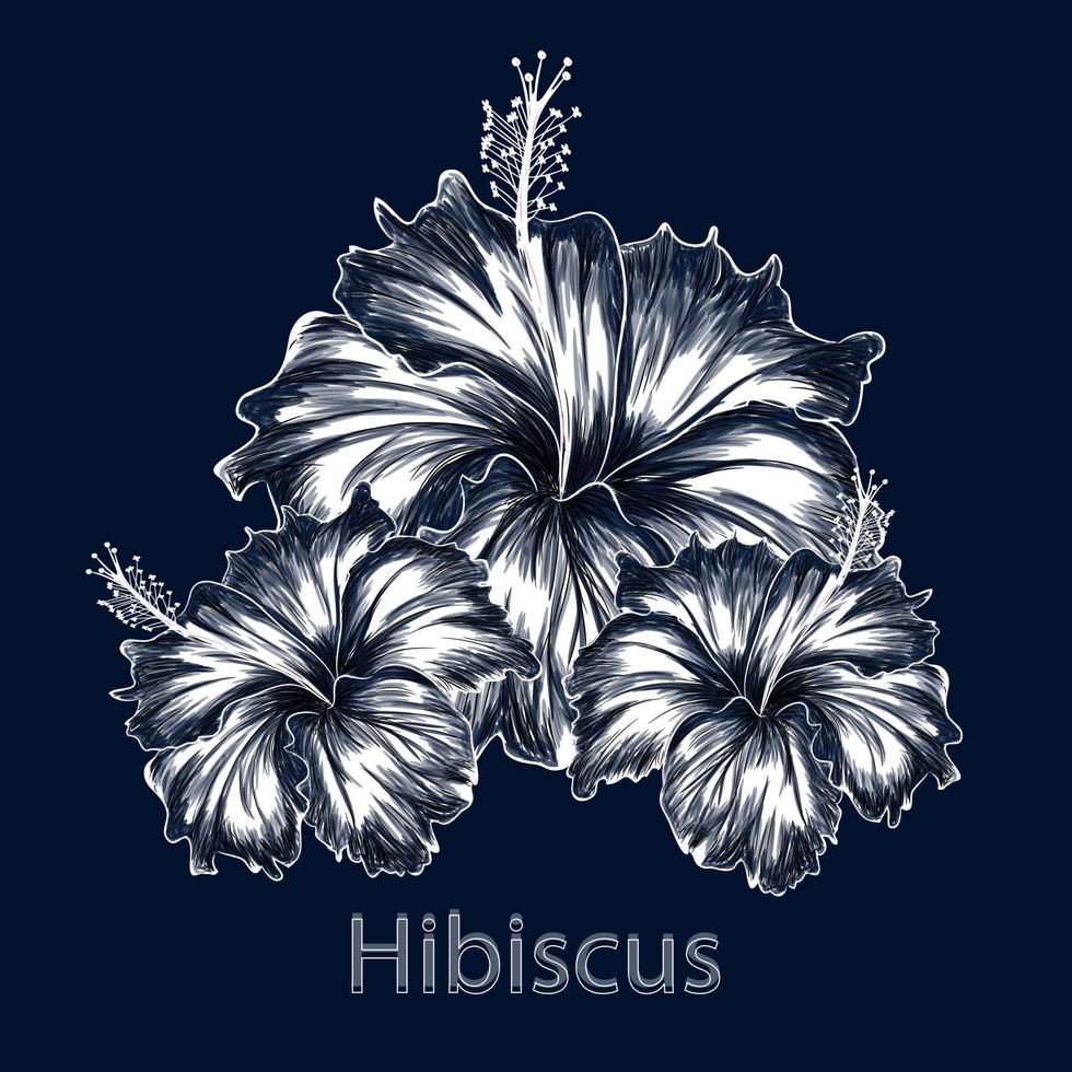 hibiscus bloem donker blauw achtergrond kleur vector illustratie.