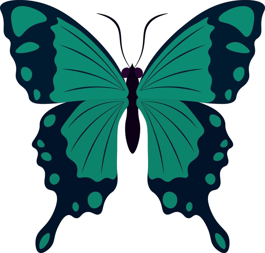 zwart en turkoois kleuren mooi hoor vlinder vector illustratie