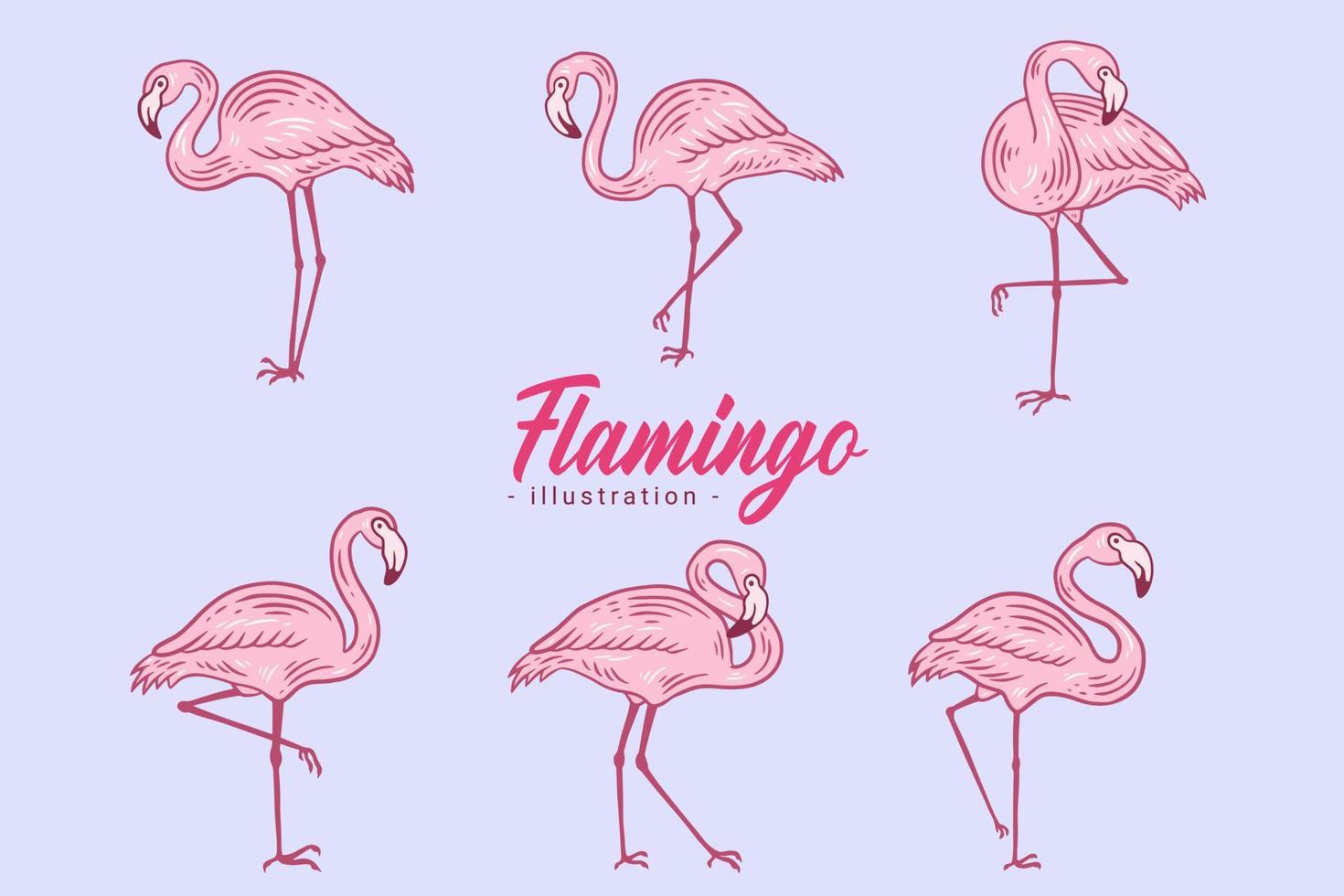 set van schattige flamingo roze vogel flamingo's esthetische tropische exotische handgetekende vlakke stijl collectie vector