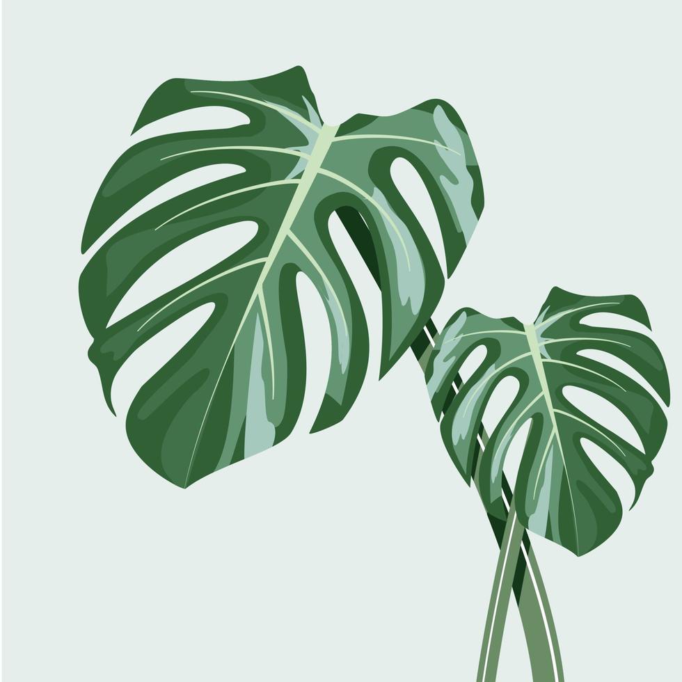 monstera op pot vectorontwerp. vector