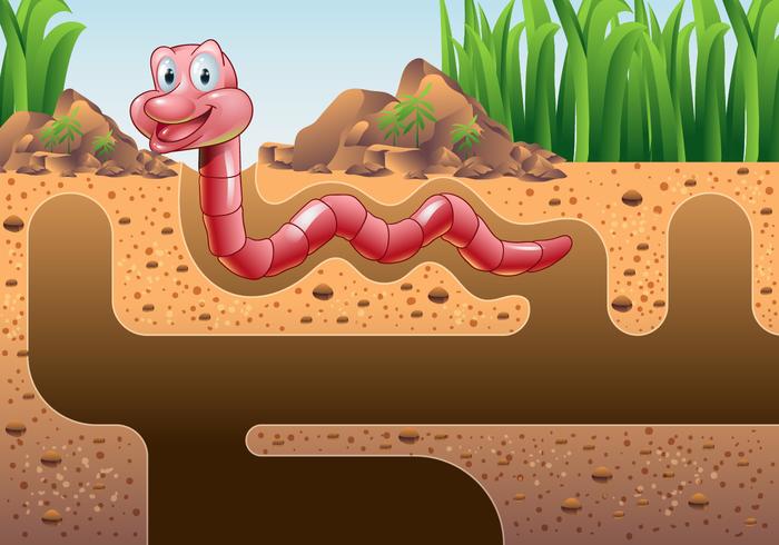 Aardworm Vector Wallpaper