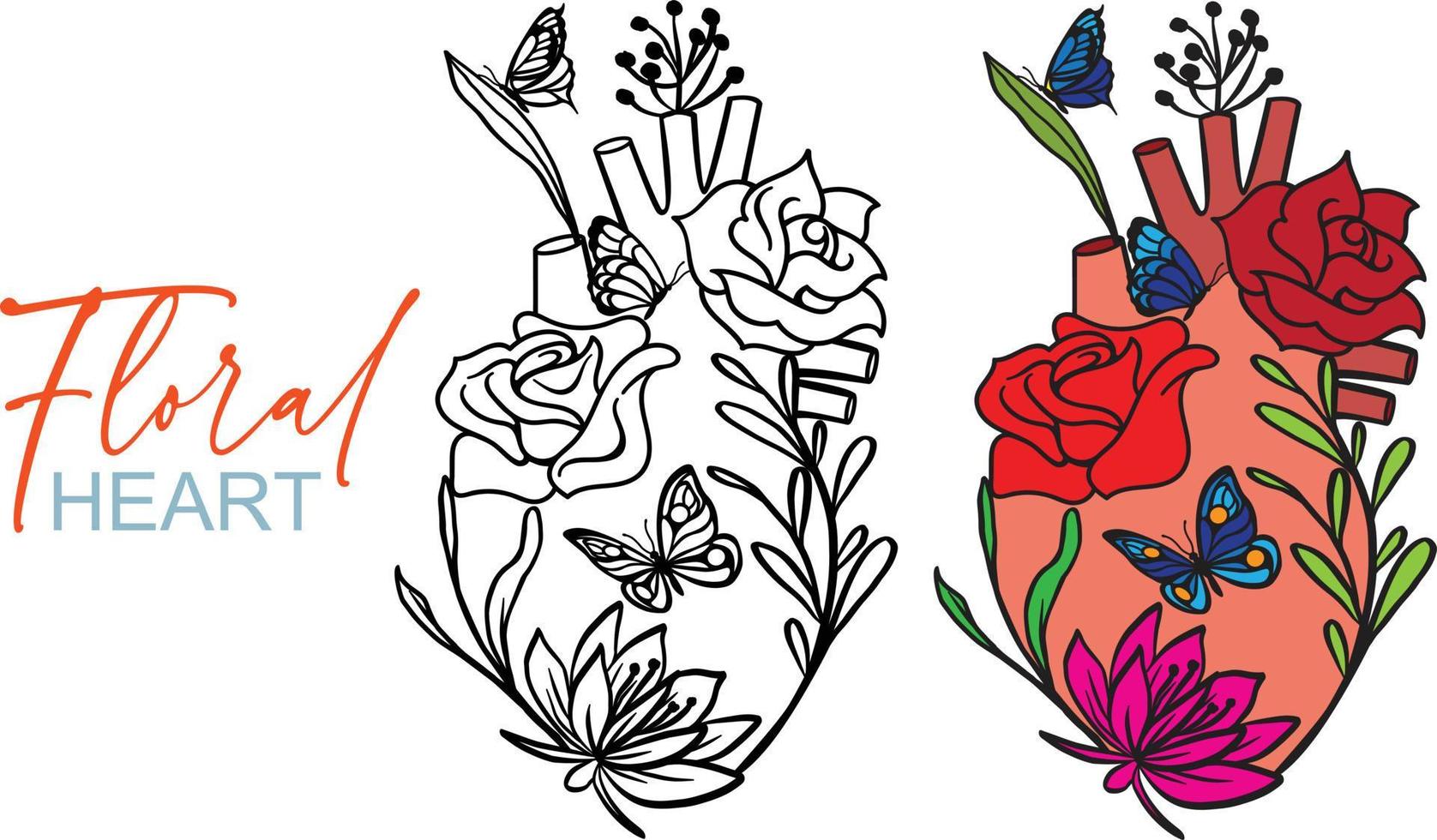 bloemen anatomisch hart. silhouet en kleuren stijl Aan wit achtergrond. vector illustratie