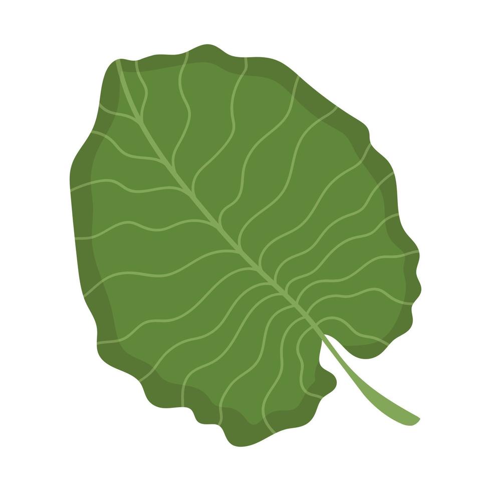 tropische palmbladeren. doodle platte clipart. alle objecten zijn opnieuw geschilderd. vector