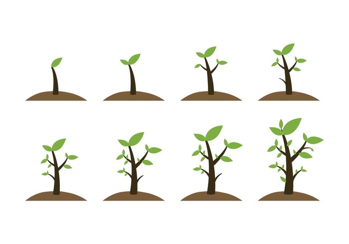 Gratis Grow Up Plant Icons vector