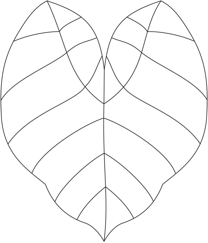 colocasia esculenta colocasia blad vector icoon zwart en wit