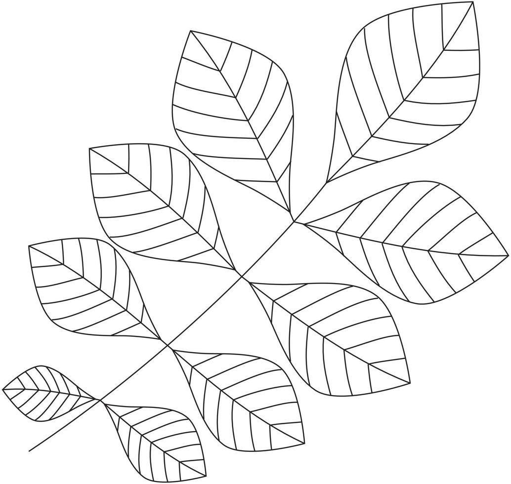 hickory blad vector icoon zwart en wit