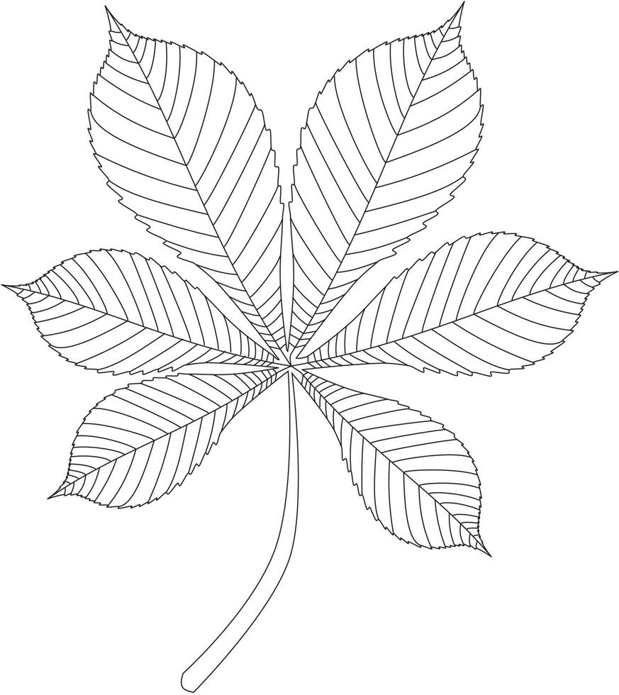 handvormig blad vector icoon zwart en wit