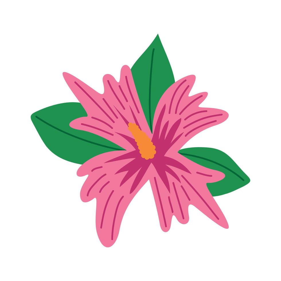 roze tropische bloem vector