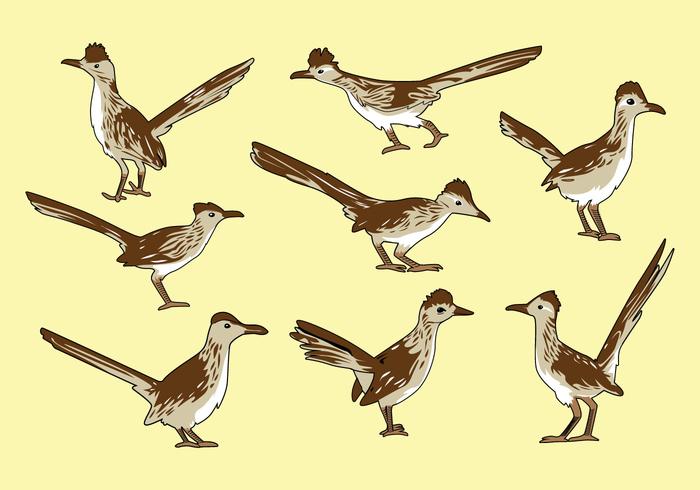 Gratis Roadrunner Vogel Vector