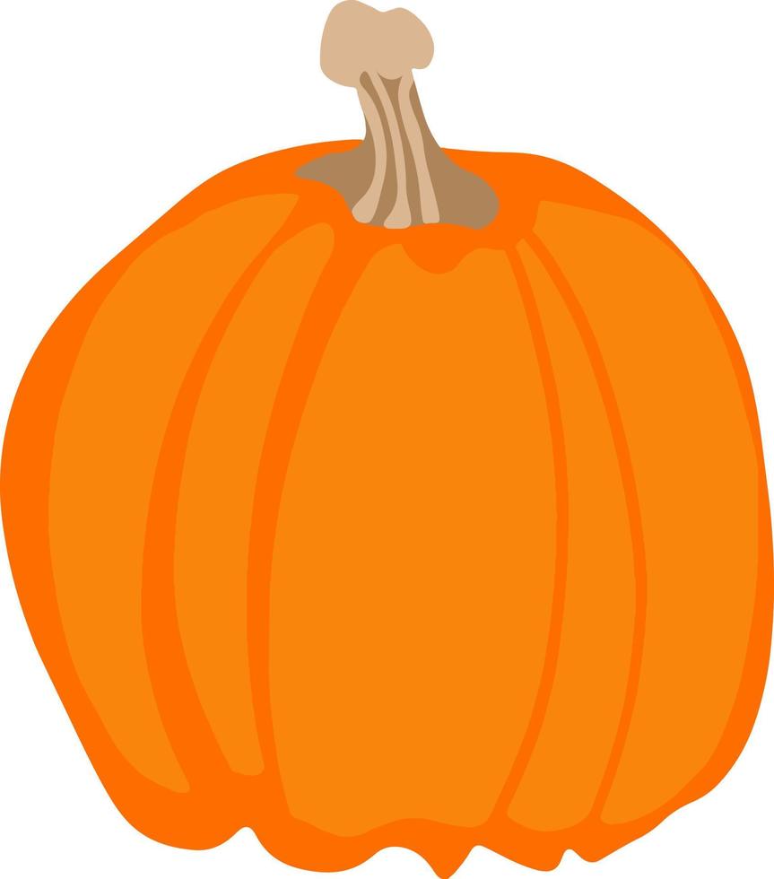 oranje pompoen. halloween decoratie. groente - pompoen. vector illustratie