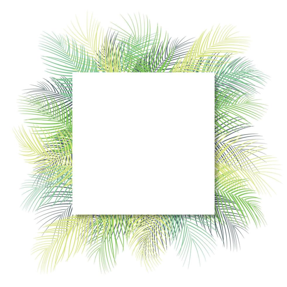 tropisch groen palm bladeren met wit kader plaats voor tekst geïsoleerd Aan wit achtergrond vector