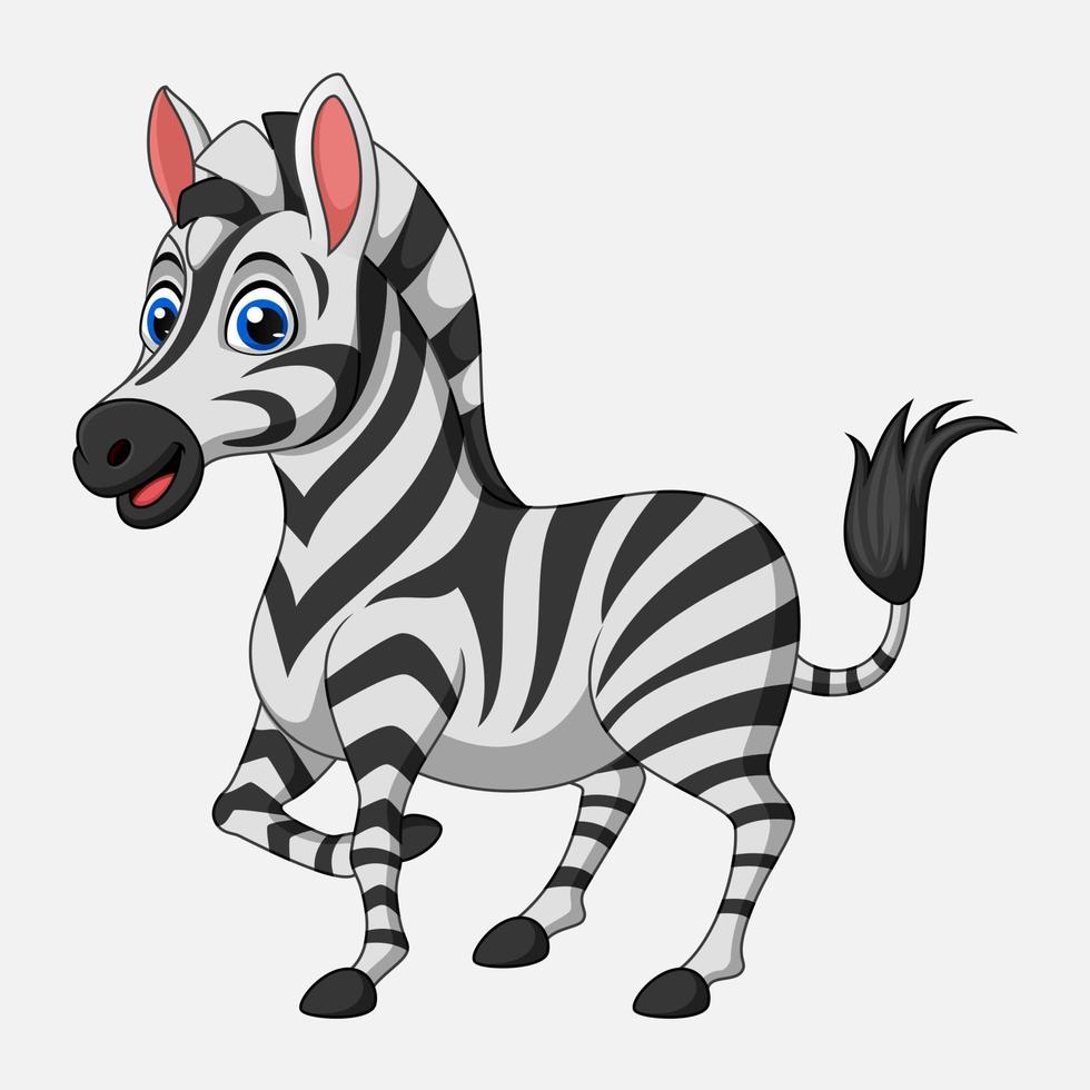 schattig tekenfilm zebra Aan wit achtergrond vector