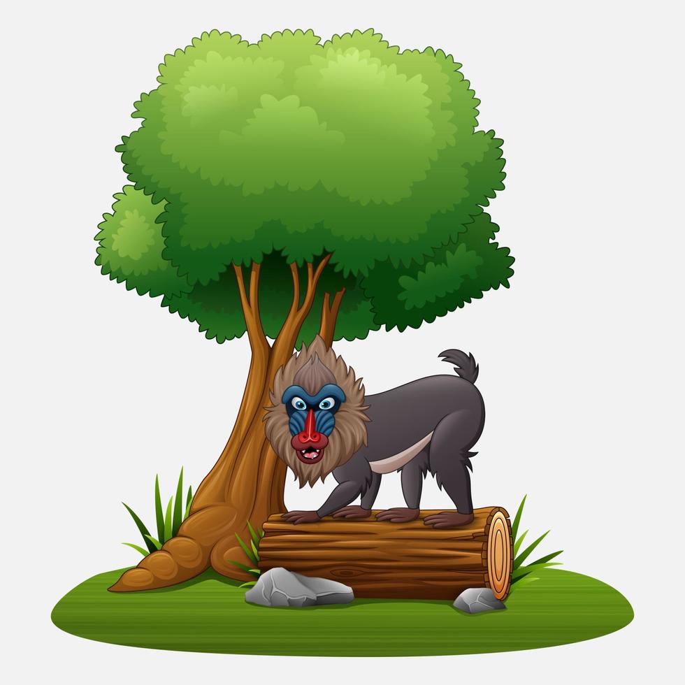 tekenfilm mandril baviaan onder boom vector