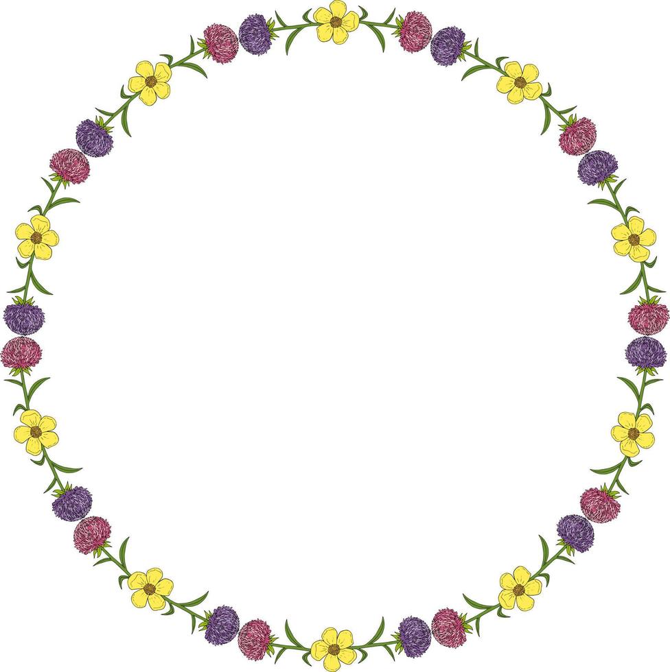 ronde kader met roze en paars aster bloemen en boterbloemen Aan wit achtergrond. tekening stijl. vector afbeelding.