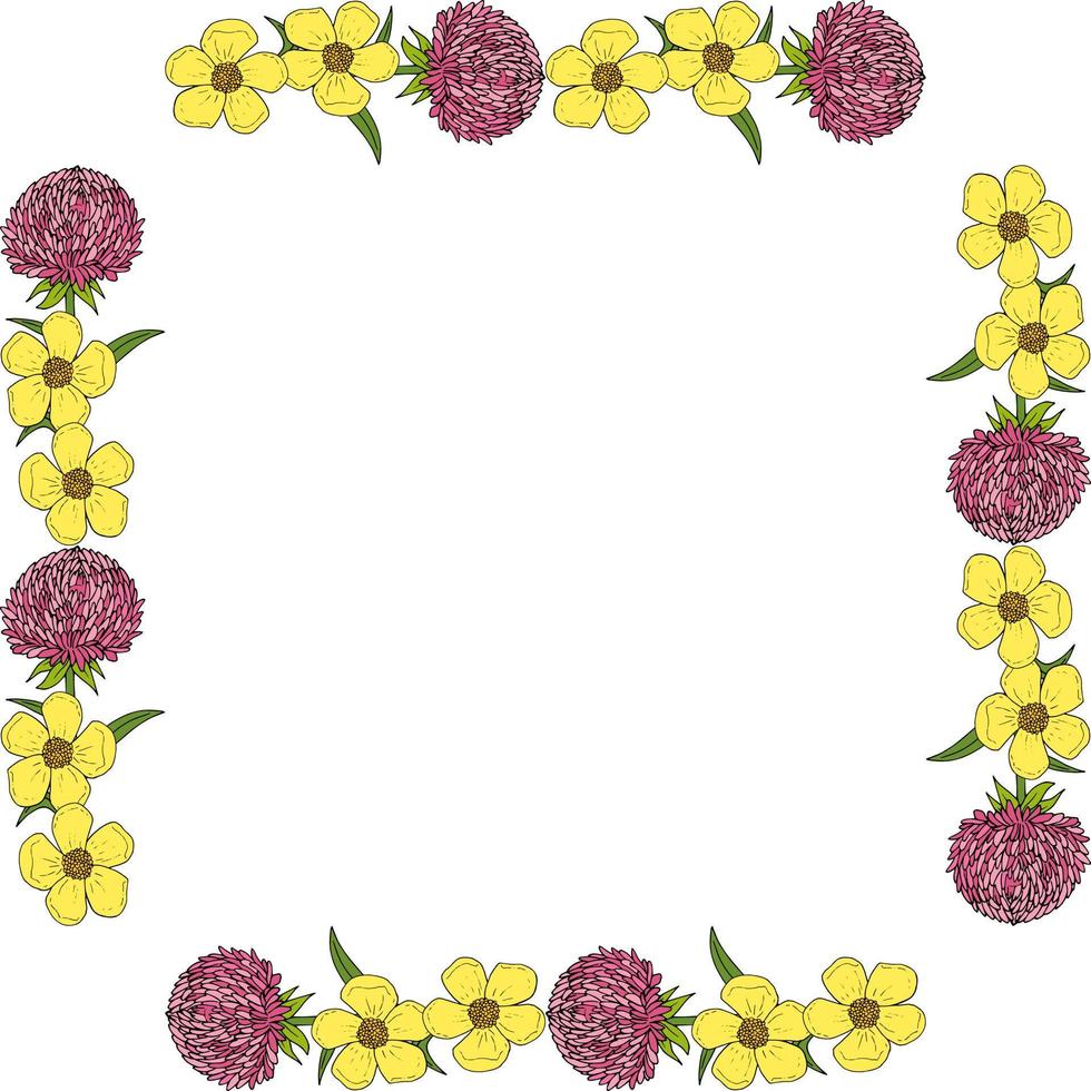 plein kader met Super goed roze aster bloemen en boterbloemen Aan wit achtergrond. tekening stijl. vector afbeelding.