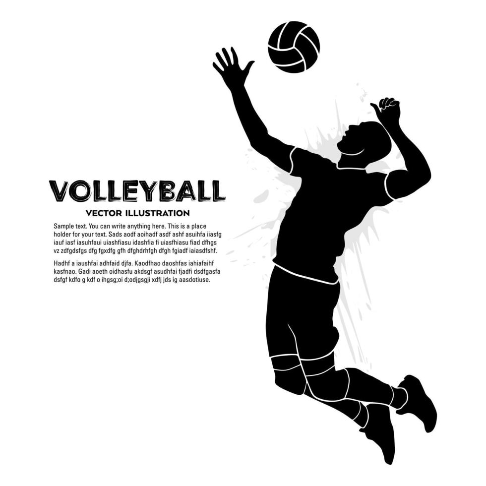 zwart silhouet van een professioneel mannetje volleybal speler vector