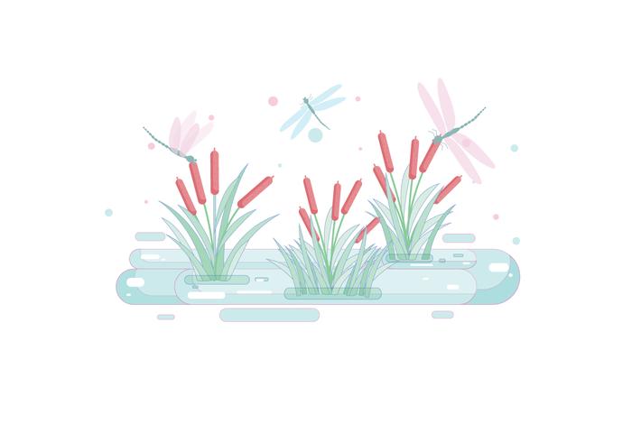 Cattails vector