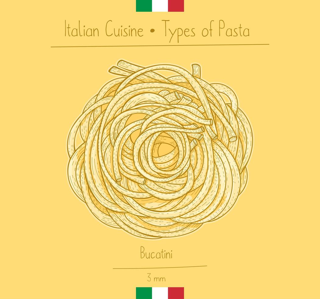 Italiaans eten bucatini sphagetti-achtige pasta vector