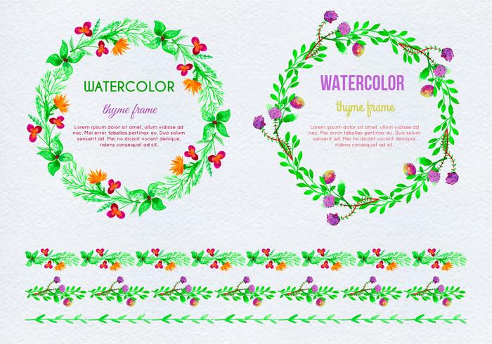 Gratis Vector Handgetekende Waterverf Thyme Frames