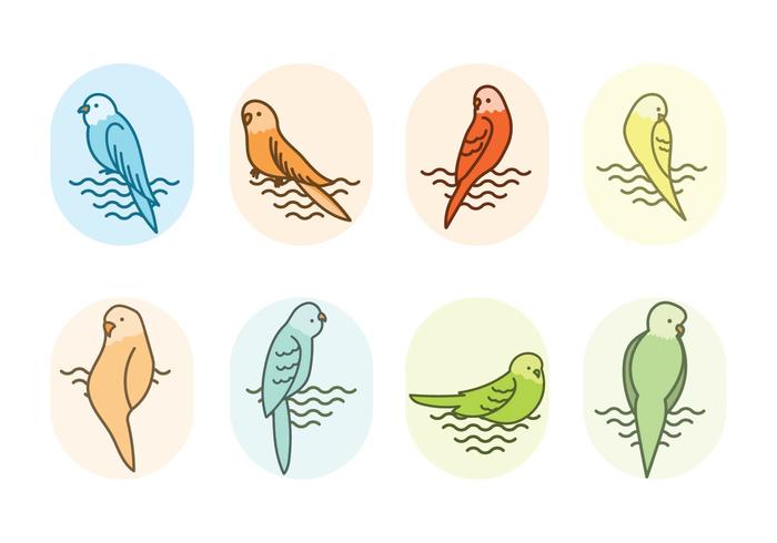 Gratis Budgie Vector