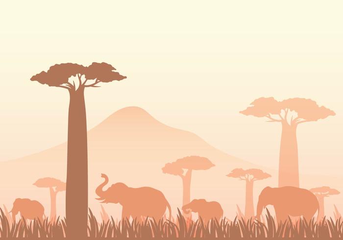 Gratis Baobab Vector Illustratie