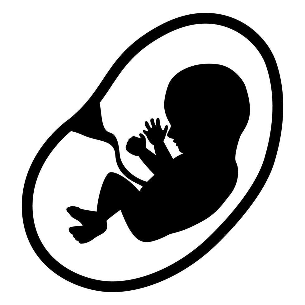 foetus geïsoleerd op witte achtergrond vector