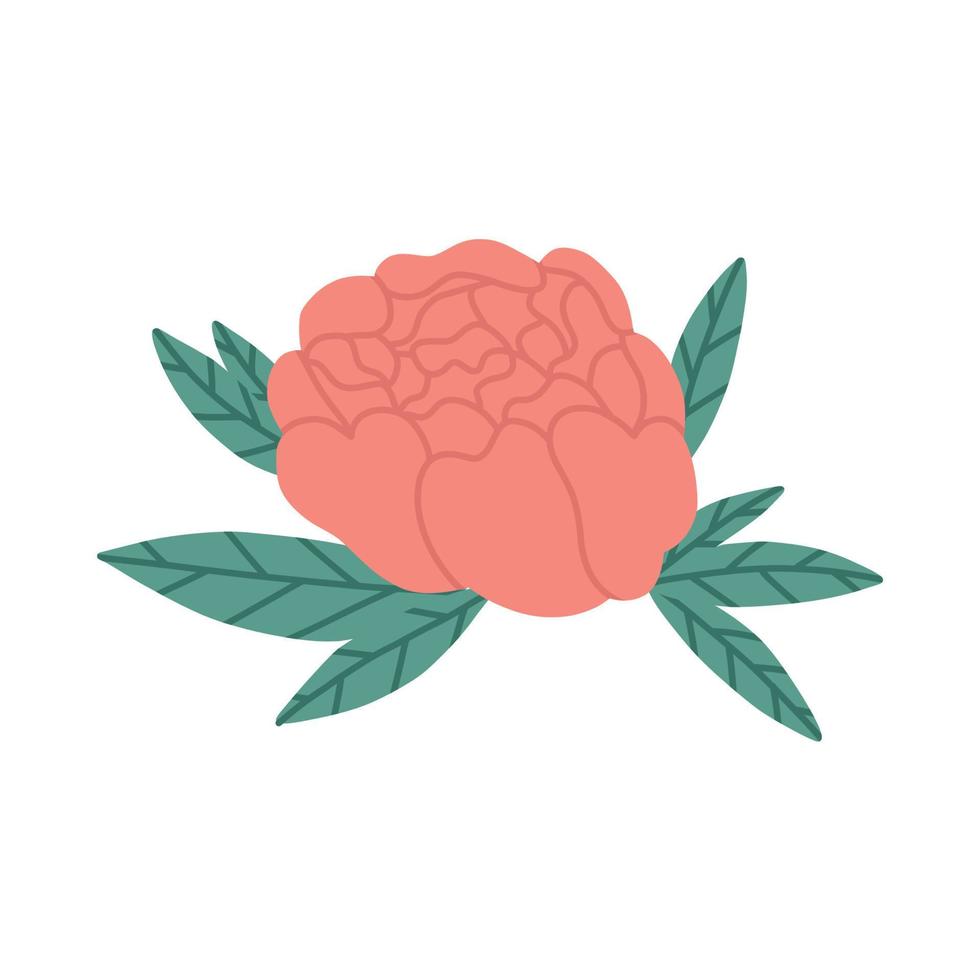 elegant roos met bladeren, vlak vector illustratie geïsoleerd Aan wit achtergrond. aromatisch bloem. bloemen element voor aromatherapie en schoonheidsmiddelen ingrediënt.