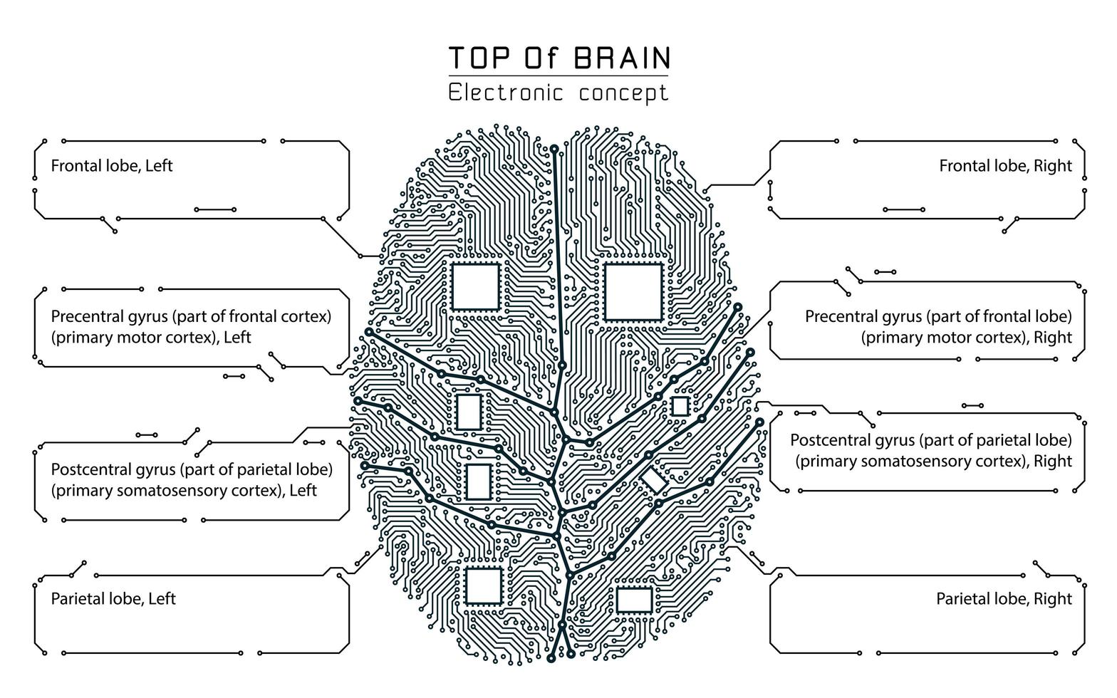 zwart-wit technologie stijl hersenen infographic vector