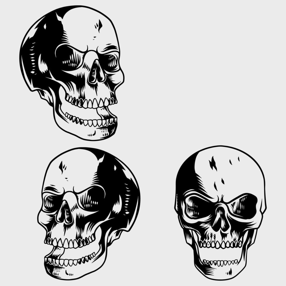 gedetailleerd reeks van schedel afbeeldingen met divers poses vector
