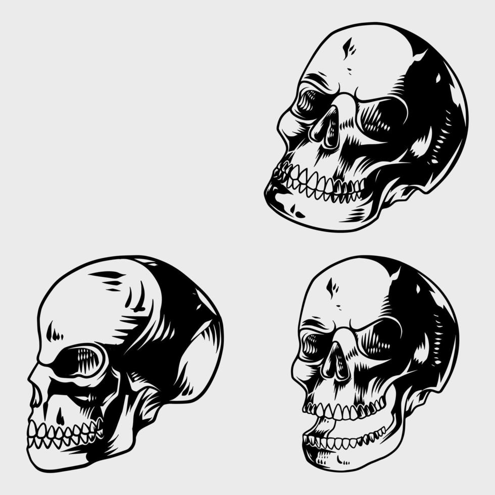 gedetailleerd schedel afbeeldingen met verschillend houding modellen vector