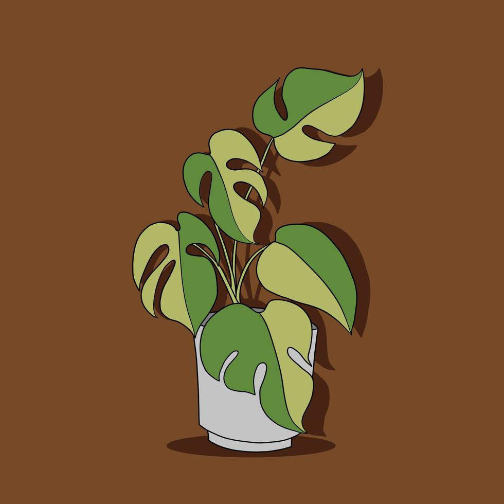 eenvoud monstera plant uit de vrije hand tekenen plat ontwerp. vector