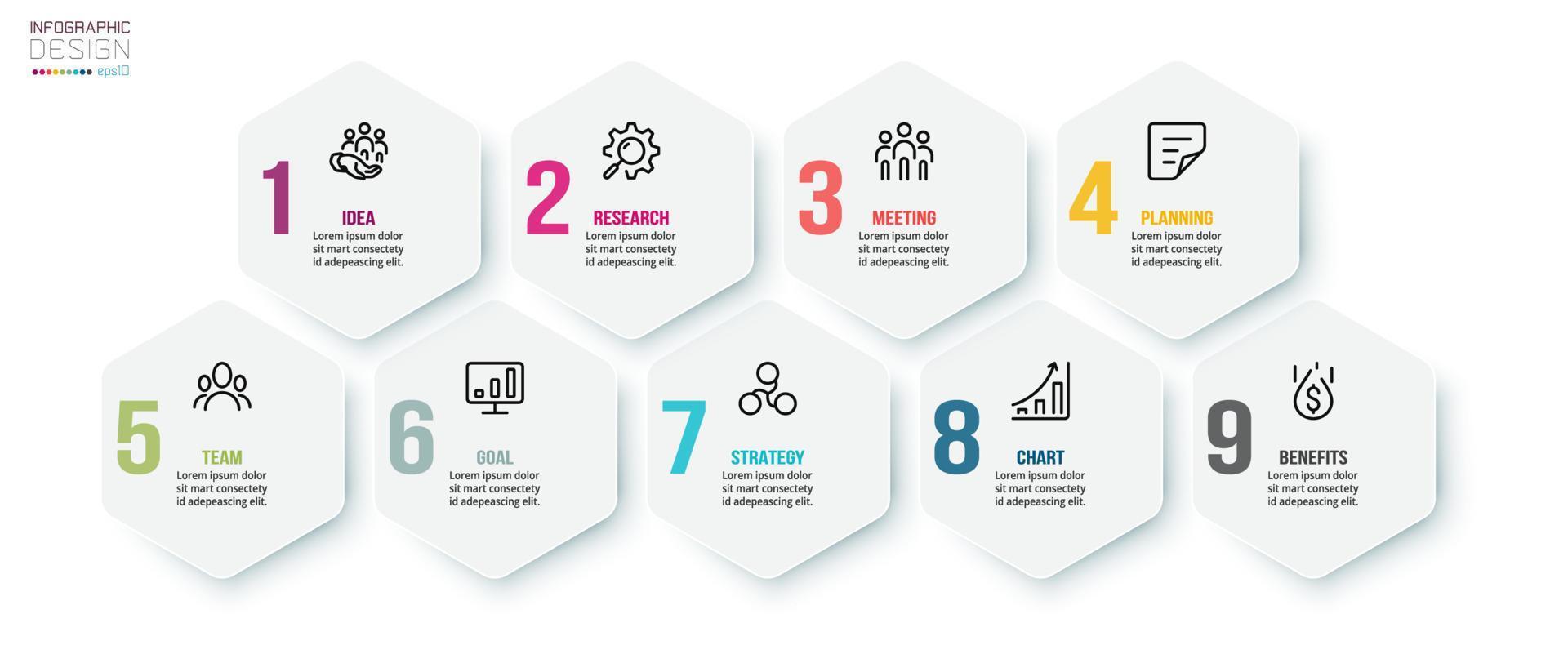 infographic sjabloon bedrijfsconcept met stap. vector