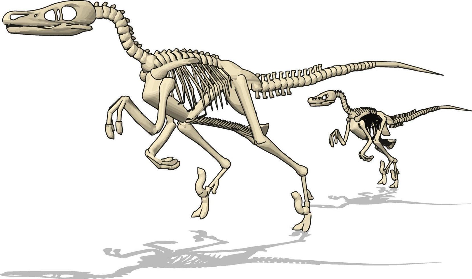 dino skelet, illustratie, vector Aan wit achtergrond.