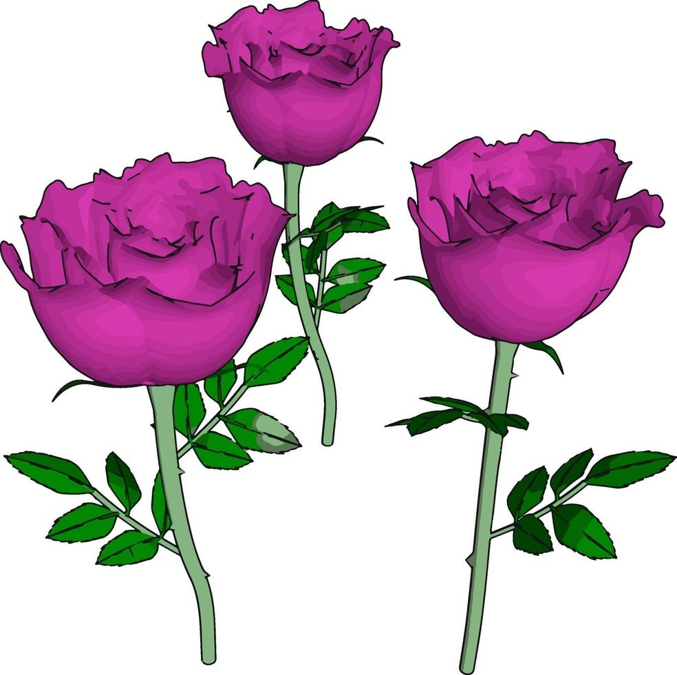 roze roos, illustratie, vector Aan wit achtergrond.