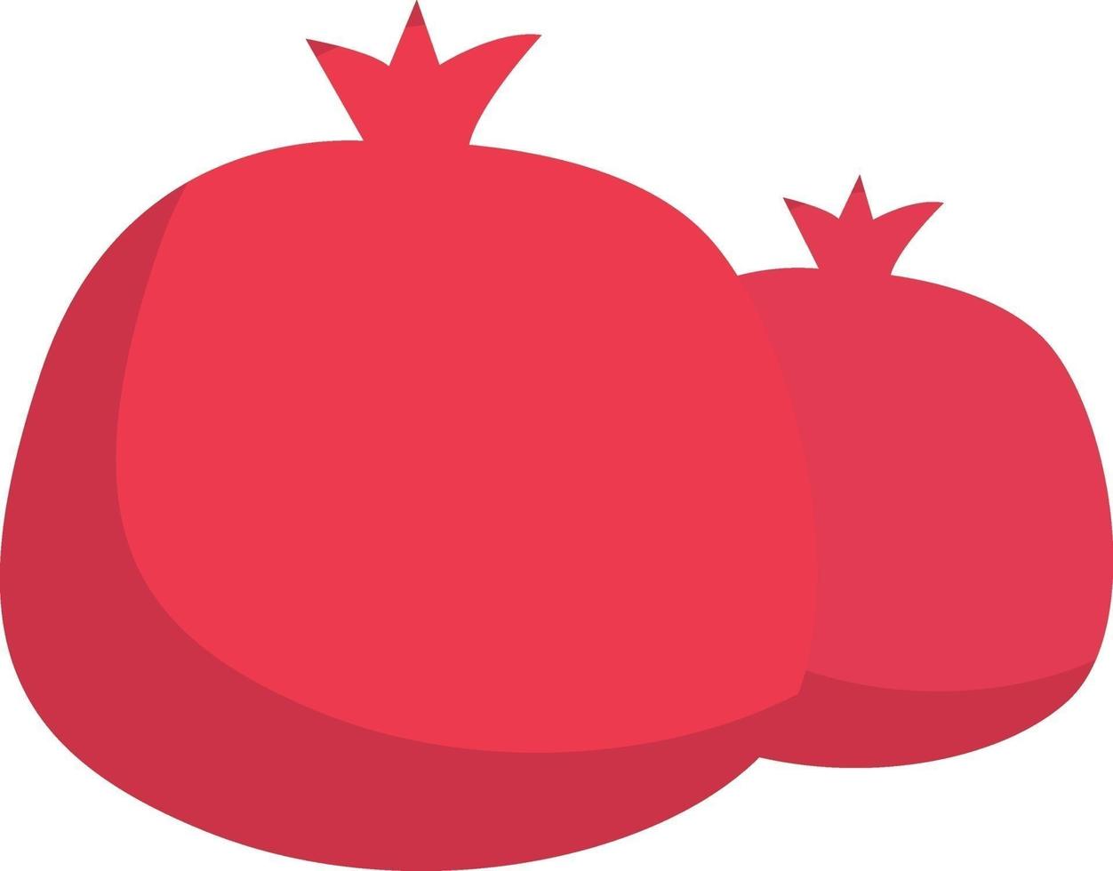 granaatappel, illustratie, vector Aan wit achtergrond