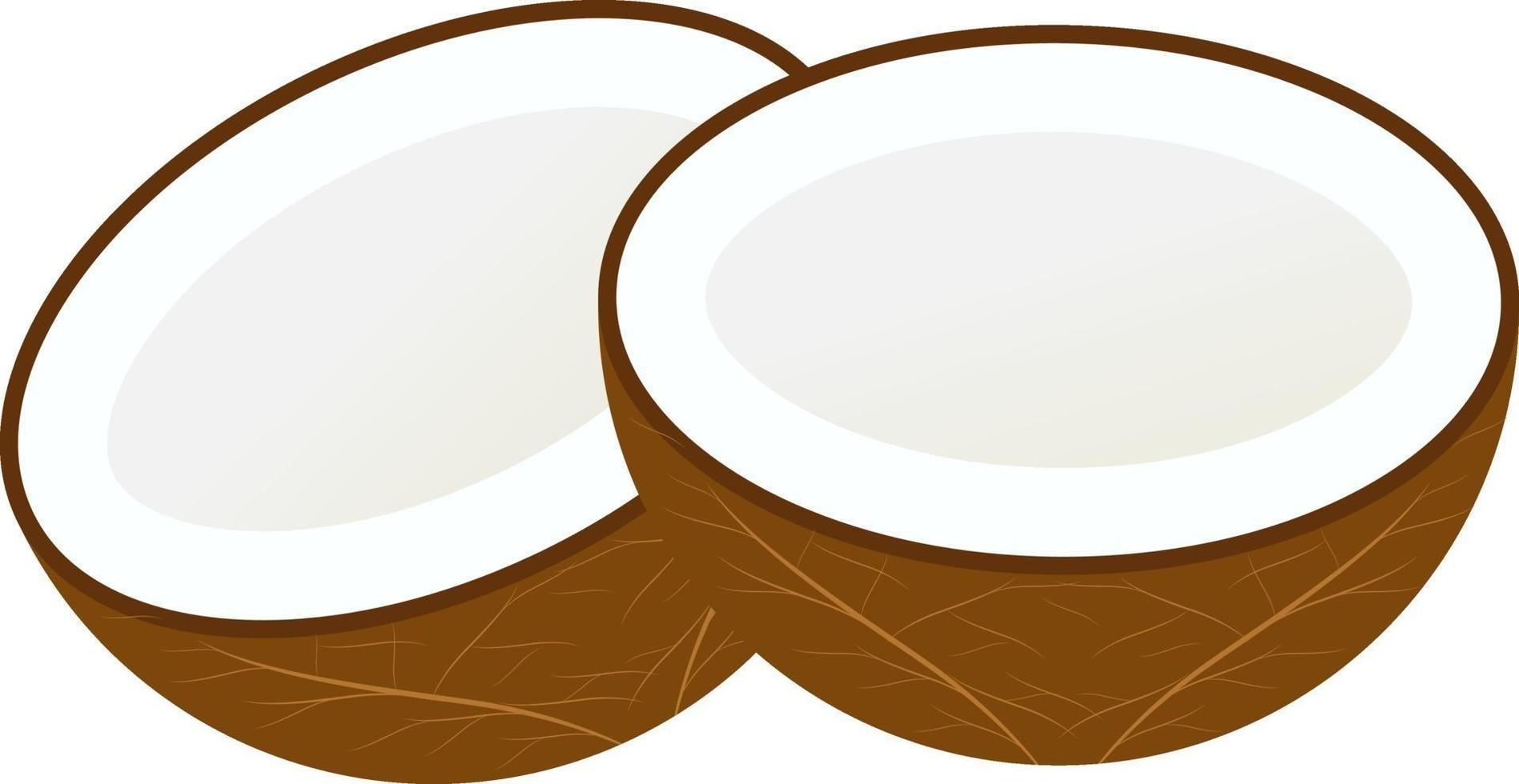 klein kokosnoot, illustratie, vector Aan een wit achtergrond.