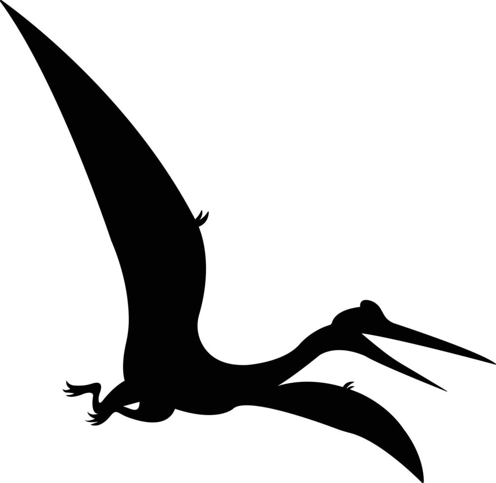 vector pterodactyl silhouet