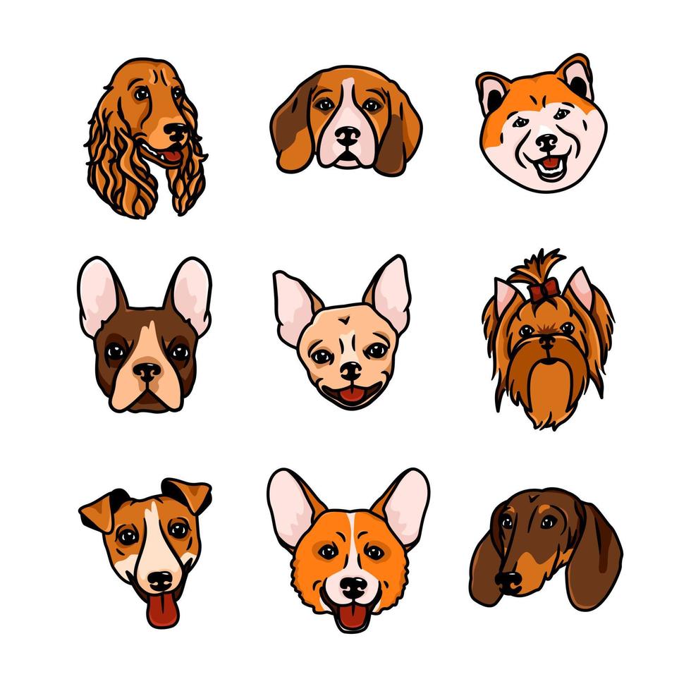 vector afbeelding. muilkorven van honden van verschillend rassen, zo net zo spaniël, brak, akita inoe, Frans buldog, chihuahua, yorkshire terriër, jack Russell terriër, corgi, teckel