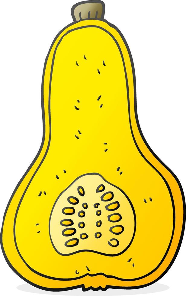 tekenfilm butternut squash vector