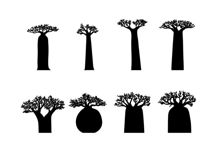 Baobab silhouet vector