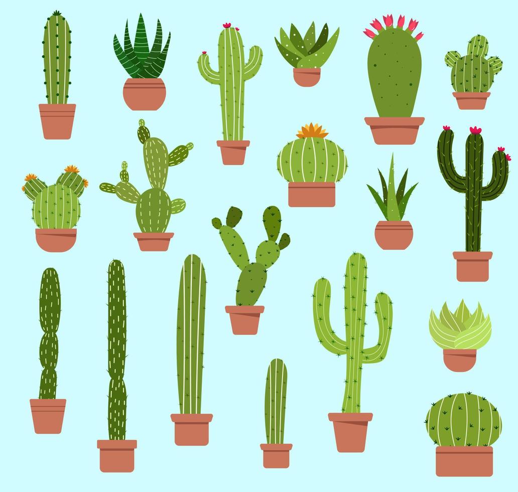 verschillend types van cactus in potten zijn geregeld Aan een blauw achtergrond. de cactus is een netelig boom dat doet niet Leuk vinden een veel van water. boeren kan nu cultiveren en verkopen. en cactus kan worden gebruikt naar decora vector