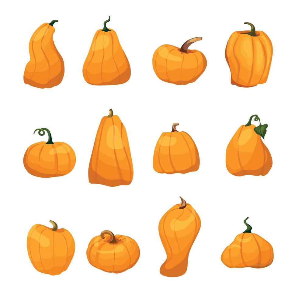 een groot reeks van pompoenen in een tekenfilm stijl. vector element voor halloween, dankzegging, oogst.