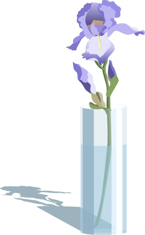 vector illustratie van roze iris in een glas vaas, geïsoleerd Aan wit achtergrond