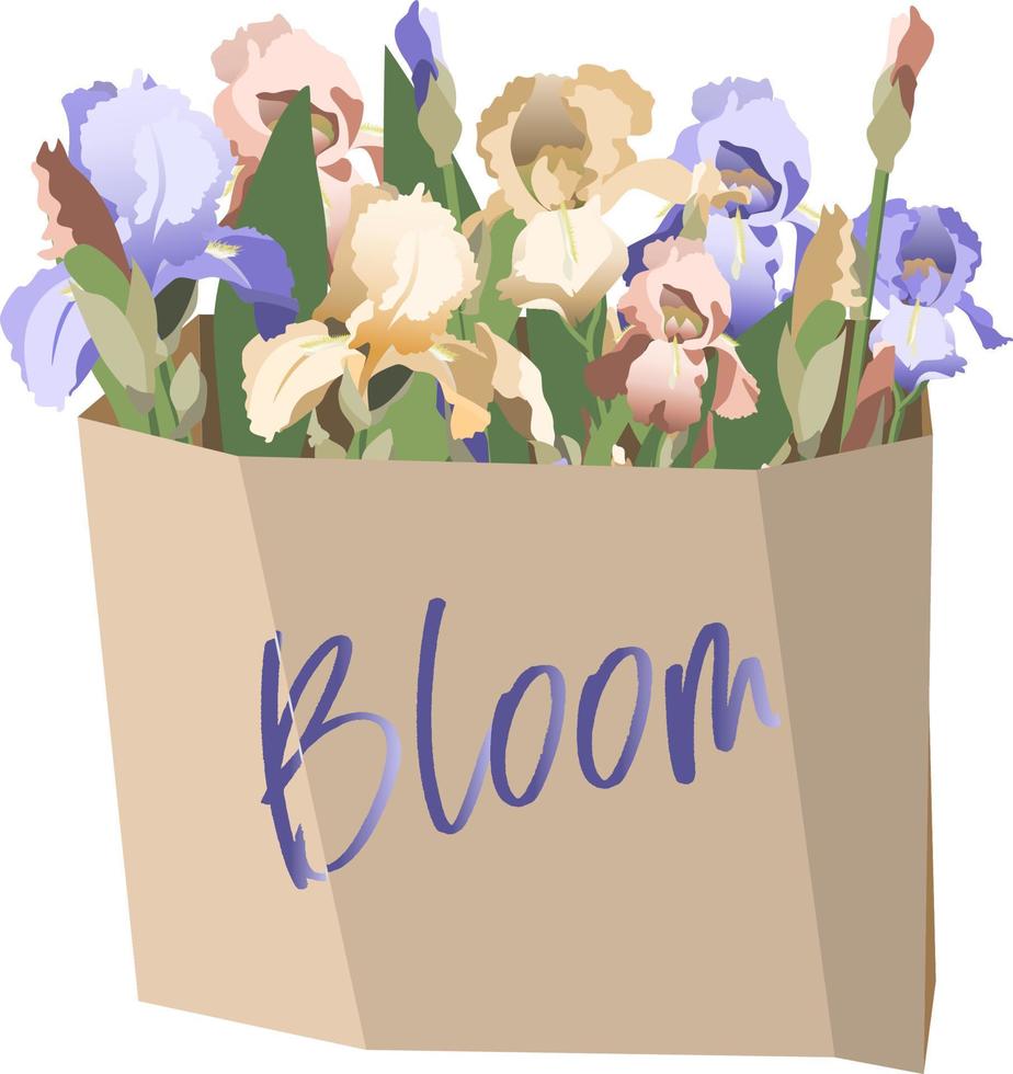 bundel van divers iris bloemen in kraft tas. geïsoleerd Aan wit achtergrond vector