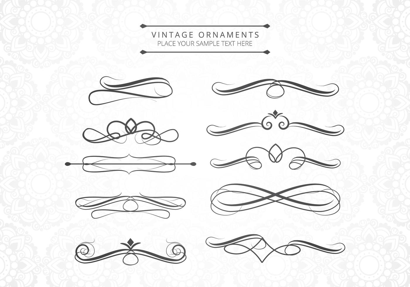 vintage ornamenten bloemen set vector