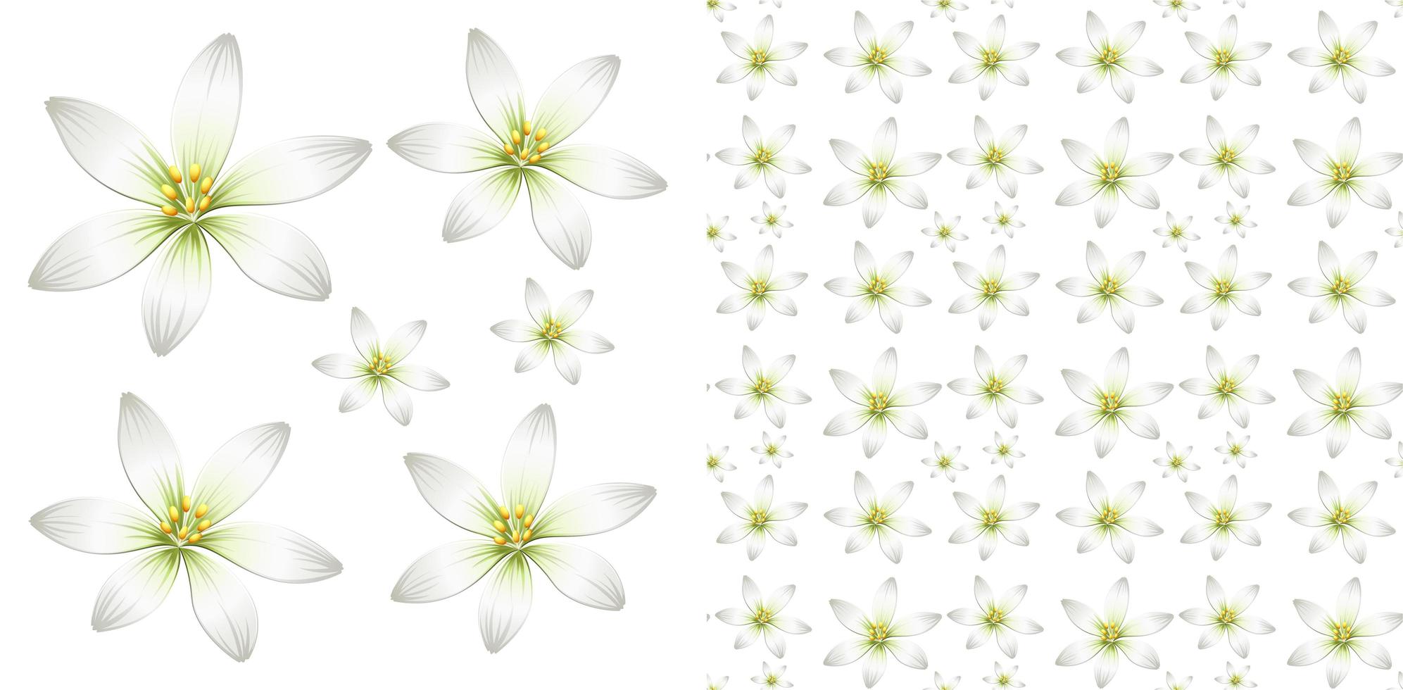 naadloos ontwerp met witte bloemen vector