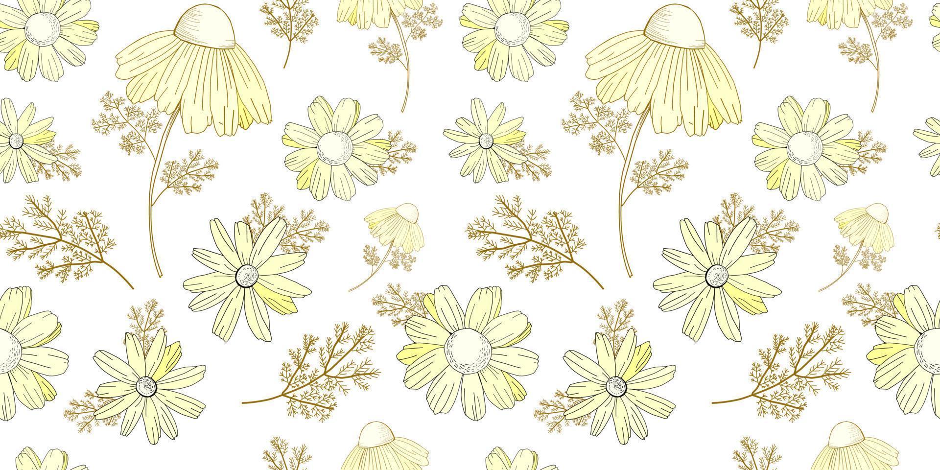 wijnoogst bloemen patroon. wilde bloemen patroon. oud texura. beige achtergrond, wit bloemen. Adonis, echinacea, kamille. vector illustratie